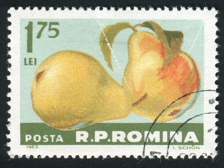 ROMANIA -CIRCA 1963: The image of two pears, circa 1963.の写真素材