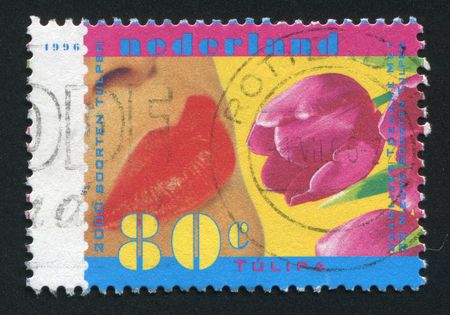 NETHERLANDS - CIRCA 1996: Female lips kiss a tulip, circa 1996.の写真素材
