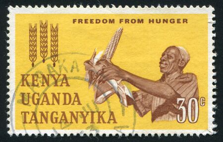 KENYA - CIRCA 1963: The person reaps a corn crop, circa 1963.のeditorial素材