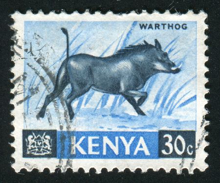 KENYA - CIRCA 1964: Animals. Thomsons gazelle, circa 1964.の写真素材