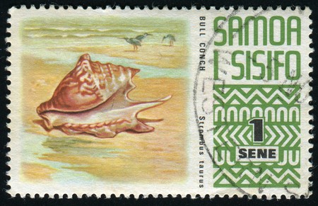 250th anniv. of Jacob Roggeveens Pacific voyage and discovery of Samoa in June 1722. Bull Conch, circa 1972.の写真素材