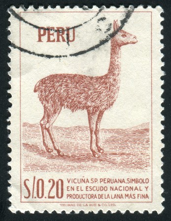 PERU - CIRCA 1979: llama is a South American camelid, widely used as a pack and meat animal by Andean cultures since pre-hispanic times, circa 1979.の写真素材