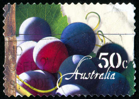 AUSTRALIA - CIRCA 2005: stamp printed by Australia, shows Grapes, grape leaves, circa 2005の写真素材