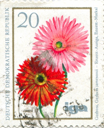 GERMANY - CIRCA 1965: stamp printed by Germany, shows Gerbera, circa 1965の写真素材
