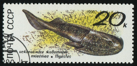 RUSSIA - CIRCA 1990: stamp printed by Russia, shows  Prehistoric Animals, Thyestes, circa 1990.の写真素材