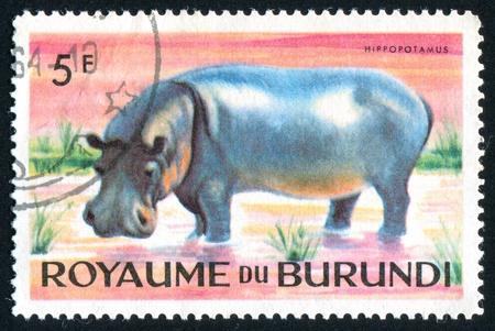 BURUNDI - CIRCA 1964: stamp printed by Burundi, shows hippopotamus, circa 1964の写真素材