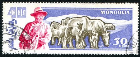 MONGOLIA - CIRCA 1961: stamp printed by Mongolia, shows Horses, circa 1961.のeditorial素材