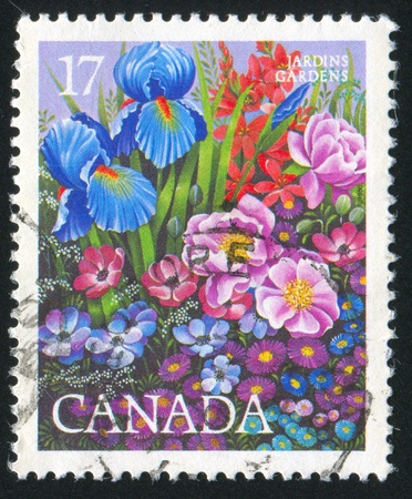 CANADA - CIRCA 1990: stamp printed by Canada, shows flowers, circa 1990の写真素材