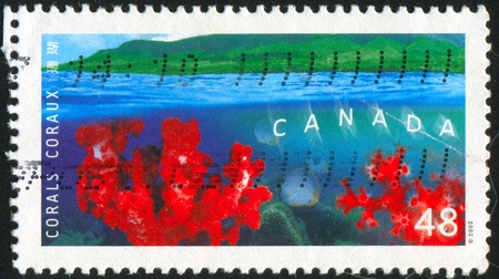 CANADA - CIRCA 2002: stamp printed by Canada, shows Corals, Dendronepthea Giagantea, circa 2002の写真素材