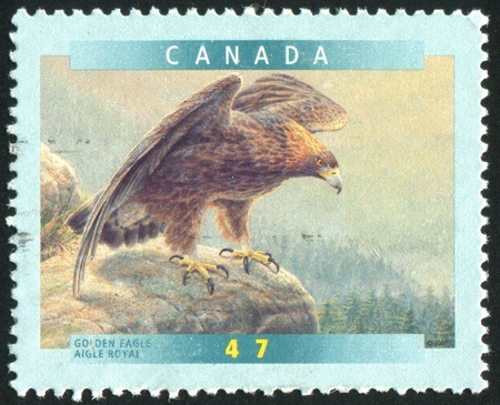 CANADA - CIRCA 2001: stamp printed by Canada, shows Golden eagle, circa 2001の写真素材