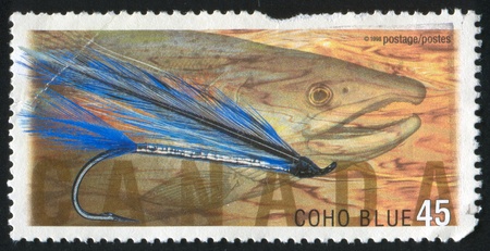 CANADA - CIRCA 1998: stamp printed by Canada, shows Fly Fishing in Canada,Coho blue, Coho salmon, circa 1998の写真素材