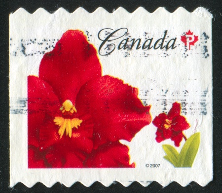 CANADA - CIRCA 2007: stamp printed by Canada, shows Odontioda Island Red Orchid, circa 2007の写真素材