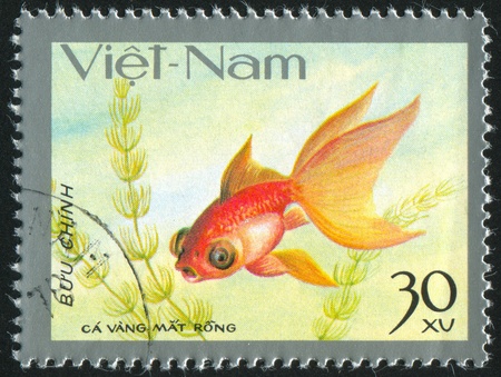 VIET NAM - CIRCA 1977: stamp printed by Viet Nam, shows Goldfish, circa 1977の写真素材