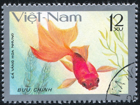 VIET NAM - CIRCA 1977: stamp printed by Viet Nam, shows Goldfish, circa 1977の写真素材