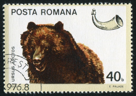 ROMANIA - CIRCA 1976: stamp printed by Romania, show bear, circa 1976.の写真素材