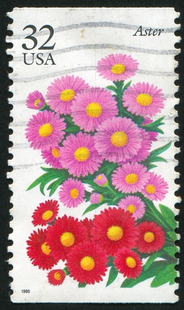 UNITED STATES - CIRCA 1995: stamp printed by United states, shows flower, Aster, circa 1995の写真素材