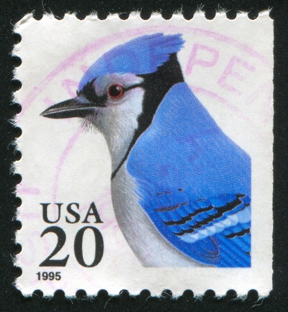 UNITED STATES - CIRCA 1995: stamp printed by United states, shows Blue Jay, circa 1995の写真素材