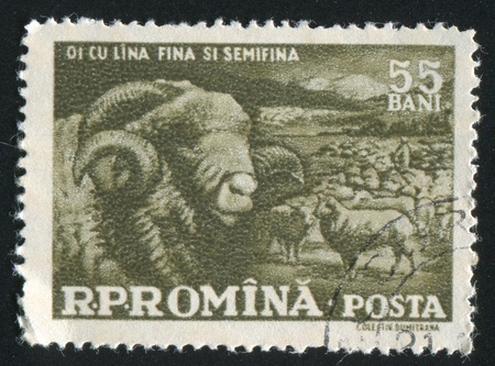 ROMANIA - CIRCA 1959: stamp printed by Romania, shows Sheep, circa 1959の写真素材
