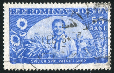 ROMANIA - CIRCA 1954: stamp printed by Romania, shows Girl holding sheaf of grain, circa 1954のeditorial素材