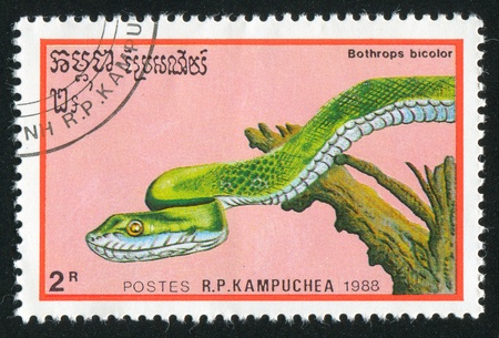 CAMBODIA - CIRCA 1988: stamp printed by Cambodia, shows snake, circa 1988.の写真素材