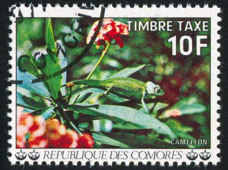 COMORO ISLANDS - CIRCA 1977: stamp printed by Comoro islands, shows flower Chameleon, circa 1977