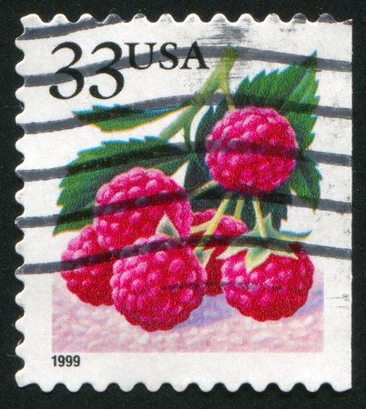 UNITED STATES - CIRCA 1999: stamp printed by United States of America, shows raspberries, circa 1999の写真素材
