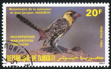 DJIBOUTI - CIRCA 1985: stamp printed by Djibouti, shows bird, circa 1985の写真素材