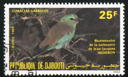 DJIBOUTI - CIRCA 1985: stamp printed by Djibouti, shows bird, circa 1985の写真素材