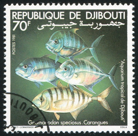 DJIBOUTI - CIRCA 1981: stamp printed by Djibouti, shows toy fish, circa 1981の写真素材