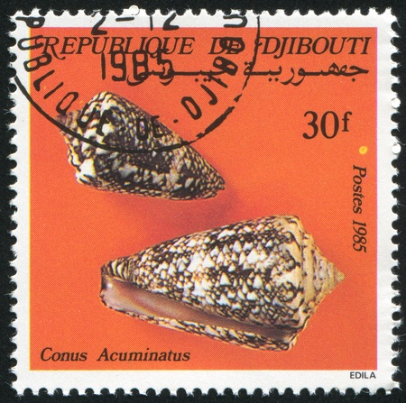 DJIBOUTI - CIRCA 1985: stamp printed by Djibouti, shows seashell, circa 1985の写真素材