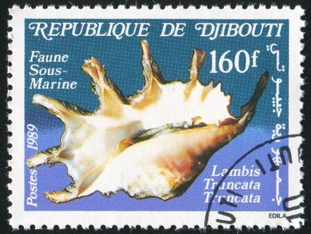 DJIBOUTI - CIRCA 1989: stamp printed by Djibouti, shows seashell, circa 1989の写真素材