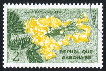 GABON - CIRCA 1961: stamp printed by Gabon, shows Yellow cassia, circa 1961の写真素材