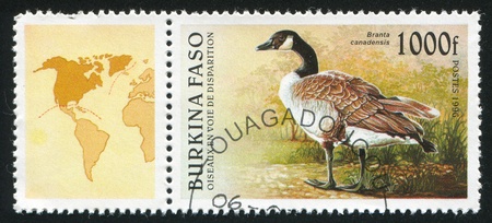 BURKINA FASO CIRCA 1996: stamp printed by Burkina Faso, shows Canada Goose, circa 1996の写真素材