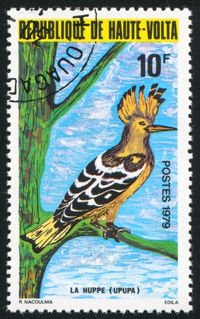 BURKINA FASO - CIRCA 1979: stamp printed by Burkina Faso, shows Hoopoe, circa 1979の写真素材