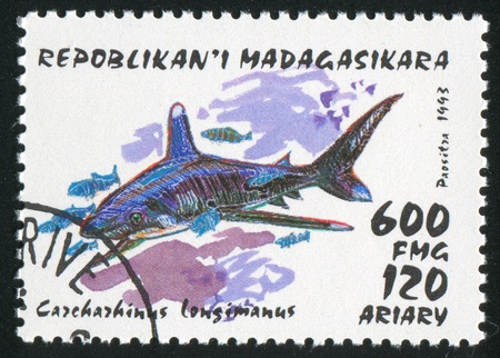 MADAGASCAR - CIRCA 1993: stamp printed by Madagascar, shows shark, circa 1993の写真素材
