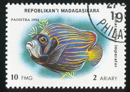 MADAGASCAR - CIRCA 1994: stamp printed by Madagascar, shows fish, circa 1994