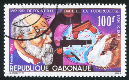 GABON CIRCA 1982: stamp printed by Gabon, shows Koch, tuberculosis bacillus, Guinea pig, circa 1982のeditorial素材