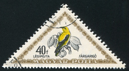 HUNGARY - CIRCA 1952: stamp printed by Hungary, shows Golden oriole, circa 1952
