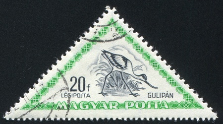 HUNGARY - CIRCA: 1952: stamp printed by Hungary, shows Pied avocet, circa 1952