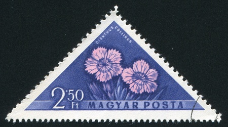 HUNGARY - CIRCA 1958: stamp printed by Hungary, shows Pinks, circa 1958