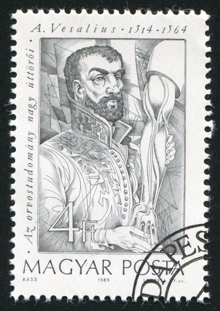 HUNGARY - CIRCA 1989: stamp printed by Hungary, shows Andreas Vesalius, Belgian anatomist, circa 1989のeditorial素材