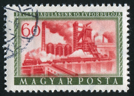HUNGARY - CIRCA 1955: stamp printed by Hungary, shows plant, circa 1955の写真素材