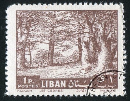 LEBANON CIRCA 1961: stamp printed by Lebanon, shows Cedars, circa 1961の写真素材