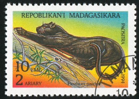 Madagascar CIRCA 1994: stamp printed by Madagascar, shows Panther, circa 1994の写真素材