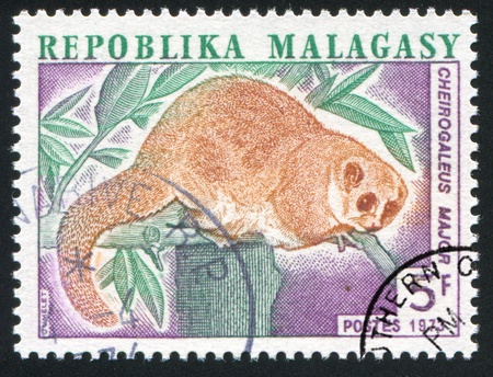 MALAGASY CIRCA 1973: stamp printed by Malagasy, shows Greater Dwarf Lemur, circa 1973の写真素材