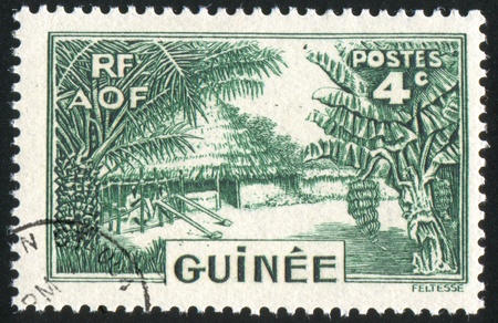 GUINEA CIRCA 1953: stamp printed by Guinea, shows Hut and palms, circa 1953の写真素材