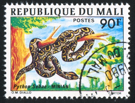 MALI CIRCA 1976: stamp printed by Mali, shows Python, circa 1976の写真素材