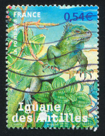 FRANCE - CIRCA 2007: stamp printed by France, shows Endangered animals overseas departments, circa...