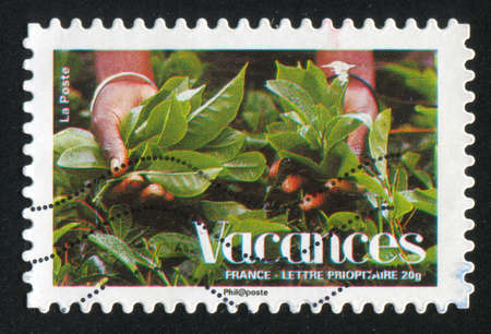 FRANCE - CIRCA 2008: stamp printed by France, shows branches and hands, circa 2008