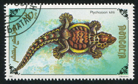 MONGOLIA - CIRCA 1991: stamp printed by Mongolia, shows  lizard, circa 1991